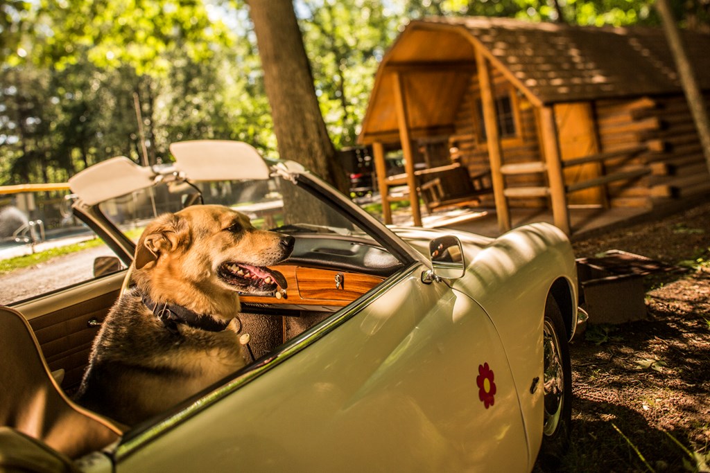 /blog/images/58A8811HIREZ__5685.jpg?preset=blogThumbnailCrop