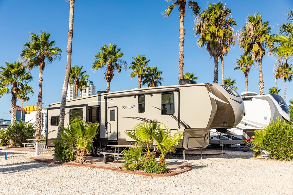5th wheel surrounded by palm trees at South Padre Island KOA Holiday