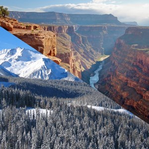 The Best Place to Camp in the Winter | 6 of the Best Winter Camping Locations Image