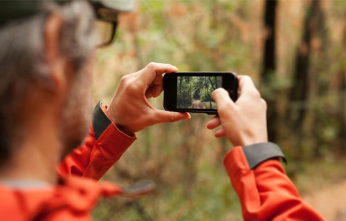/blog/images/61.jpg?preset=blogThumbnailCrop