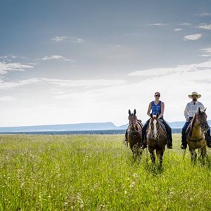 The Best National Parks for Wildlife Viewing Image