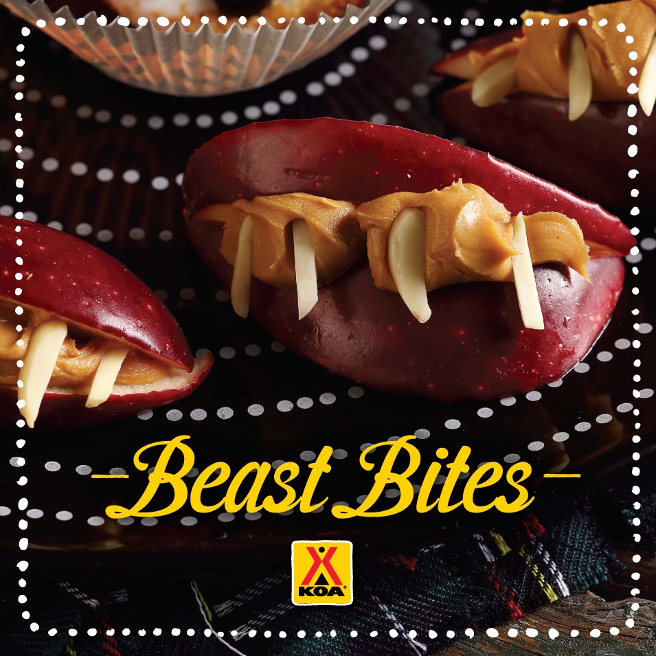 /blog/images/Beast-Bites-2.jpg?preset=blogThumbnailCrop