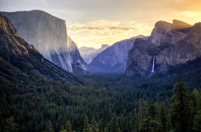 /blog/images/Big-Tree-Bonanza-Dream-Vacation-From-KOA.jpg?preset=blogThumbnailCrop