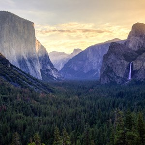 Dream Vacation: Big Tree Bonanza Image