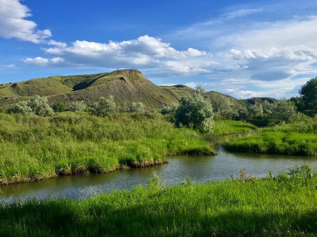 Billings KOA Holiday Yellowstone River