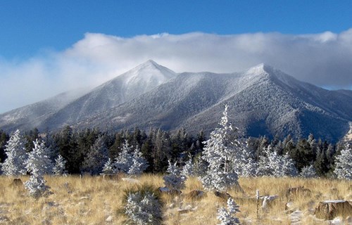 /blog/images/Blog_Flagstaff.jpg?preset=blogThumbnailCrop