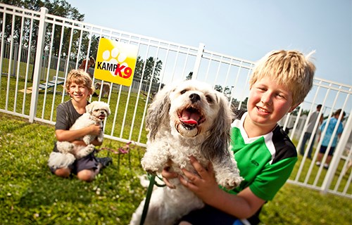 /blog/images/Blog_Pets.jpg?preset=blogThumbnailCrop