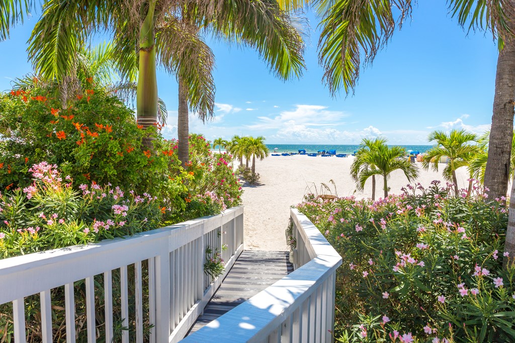 Boardwalk on beach with green palm trees, flowering bushes, and beach sand in St. Pete, Florida