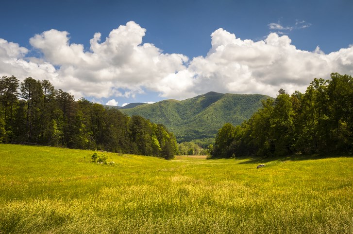 Cades Cove Great Smoky Mountains National Park Spring Scenic Landscape