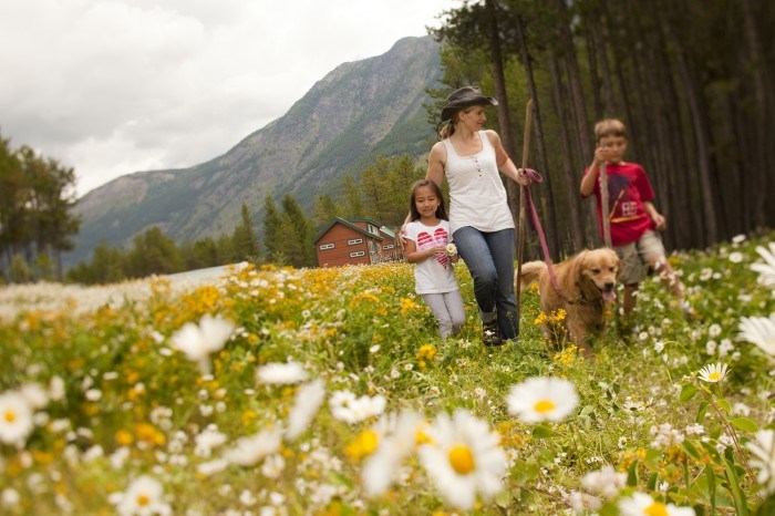 /blog/images/DOW_9256field-700x466.jpg?preset=blogThumbnailCrop