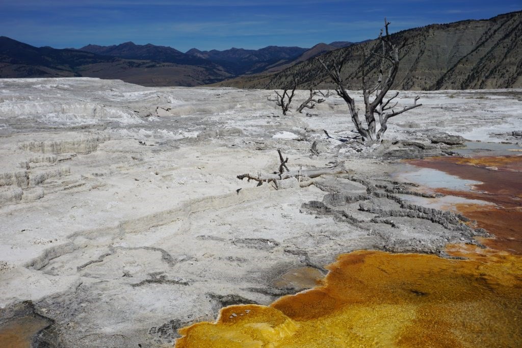 Mammoth Hot Springs Upper Terrace