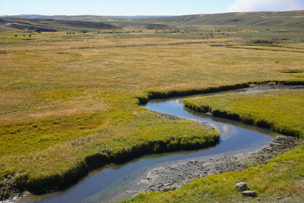 Hayden Valley, Yellowstone National Park