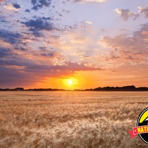 Discover North Dakota & Minnesota on This Trip Image