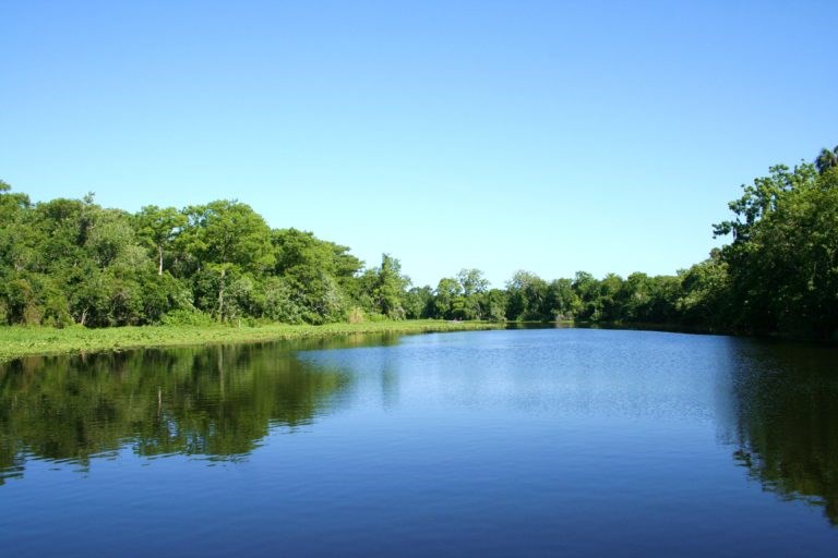 /blog/images/DeLand-KOA.jpg?preset=blogThumbnailCrop