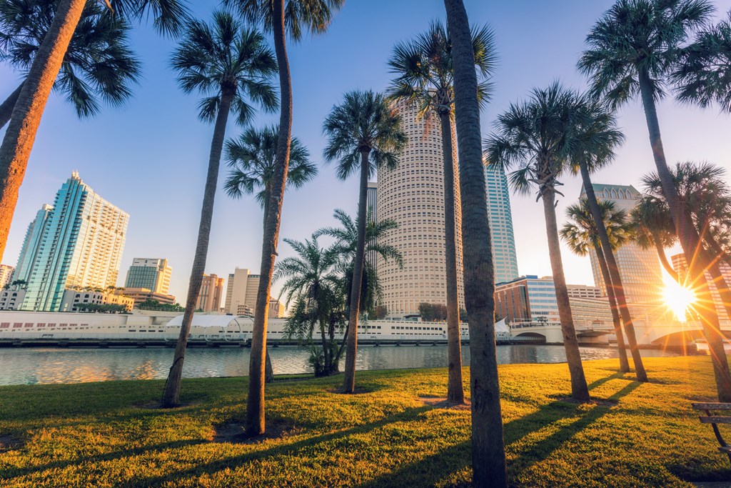 Scene of evening sunset and river with tall buildings and palm trees in downtown Tampa, Florida