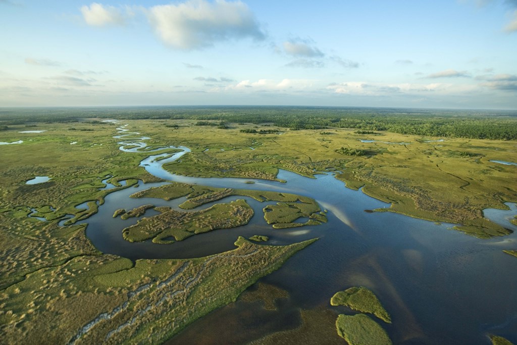 5 National Parks You Can Visit by Bus