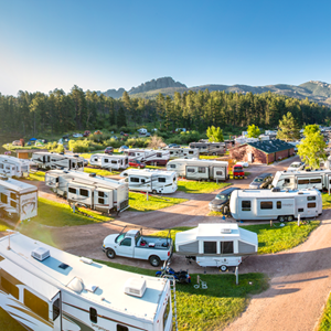 The Evolution of the RV Image