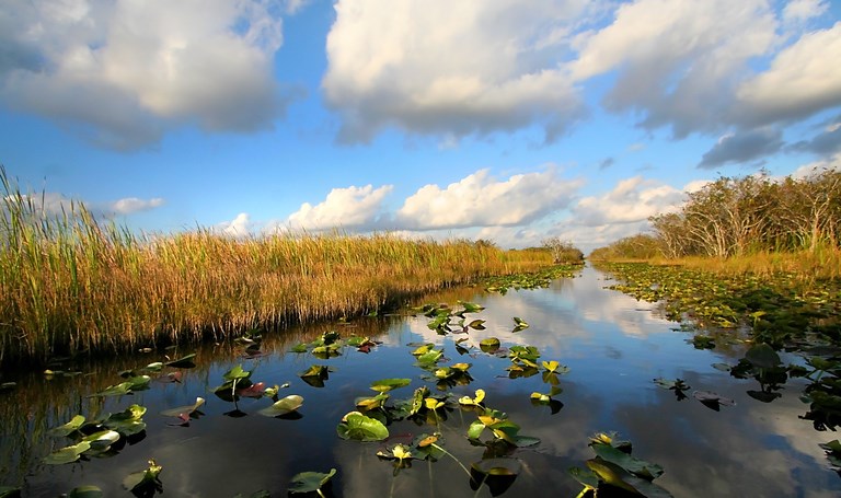 Florida Everglades National Park