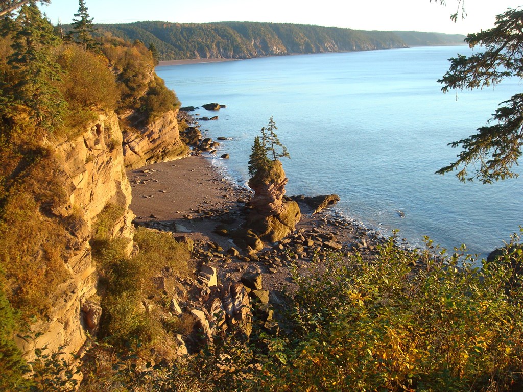 wow fundy is very old : r/Fundy