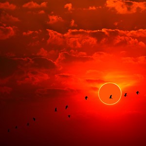 Everything You Need to Know about the 2023 Annular Solar Eclipse Image