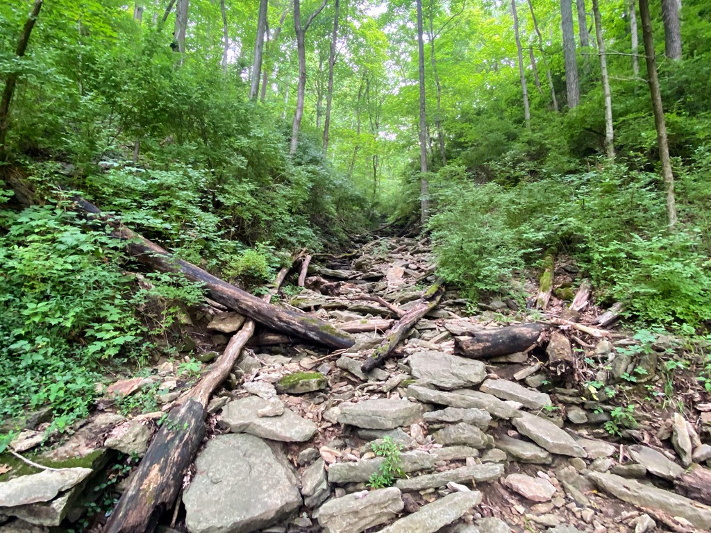 Cove Spring Park Hiking Trail in Frankfort, Kentucky