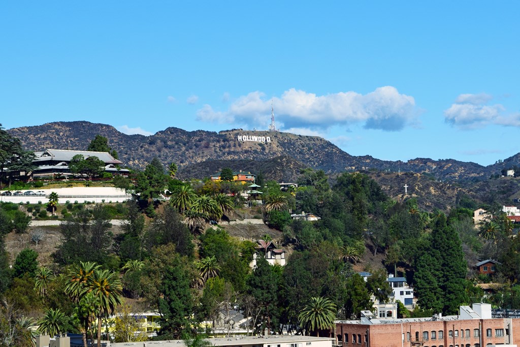 A view of the famous Hollywood Hills in Hollywood, California