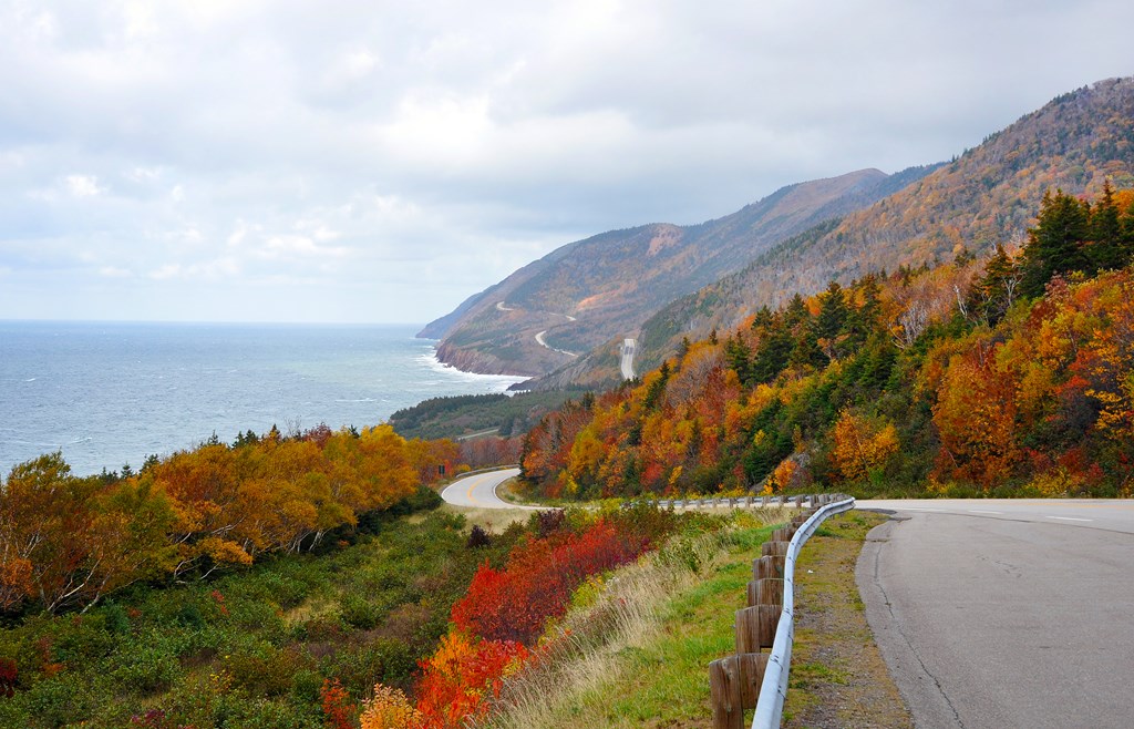 Fall colors appear on a winding coastal highway.