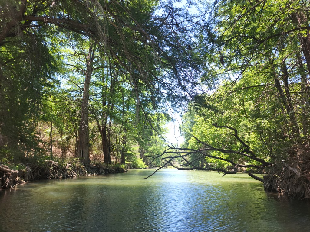 The green woods line along the Guadalupe river, Kerrville, Texas, USA