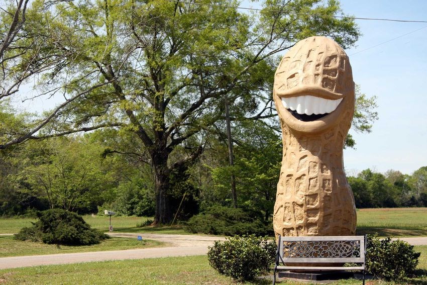 Jimmy Carter Peanut Statue