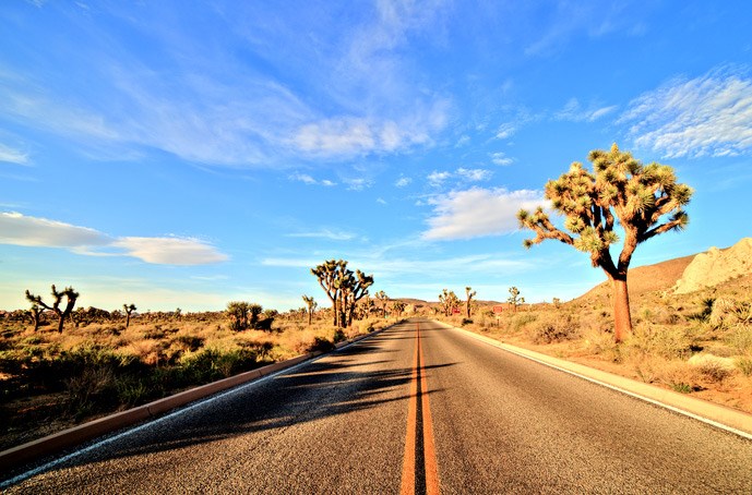 /blog/images/Make-a-Trip-to-the-Mesmerizing-Mojave-Desert.jpg?preset=blogThumbnailCrop