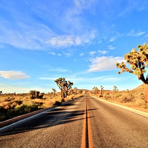 Make a Trip to the Mesmerizing Mojave Desert Image