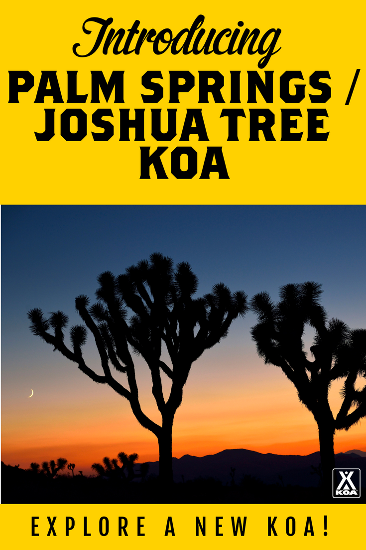 Meet the NEW Palm Springs / Joshua Tree KOA | KOA Camping