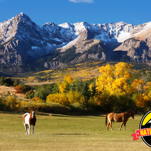 Dream Vacation: Million Dollar Highway Image