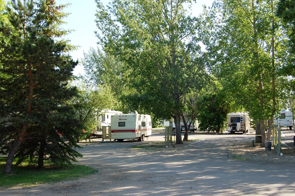 Green trees and an RV in the foreground at Moose Jaw KOA Journey