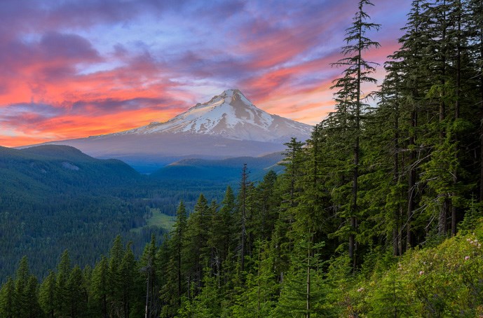 /blog/images/Mt.-Hood-Scenic-Byway-is-an-Oregon-Adventure.jpg?preset=blogThumbnailCrop