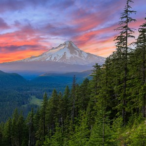 Mt Hood Scenic Byway is an Oregon Adventure Image