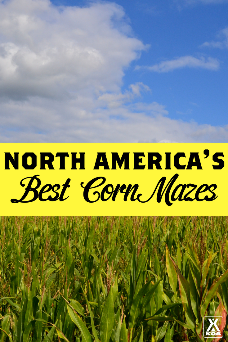 North America's 9 Best Corn Mazes to Visit this Fall