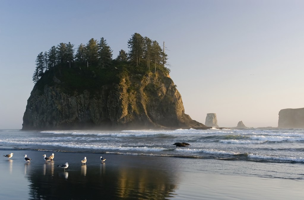 Olympic National Park.jpg