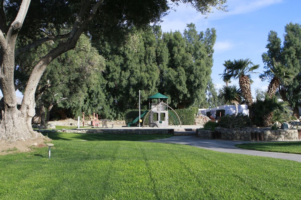 Palm Springs / Joshua Tree KOA Playground