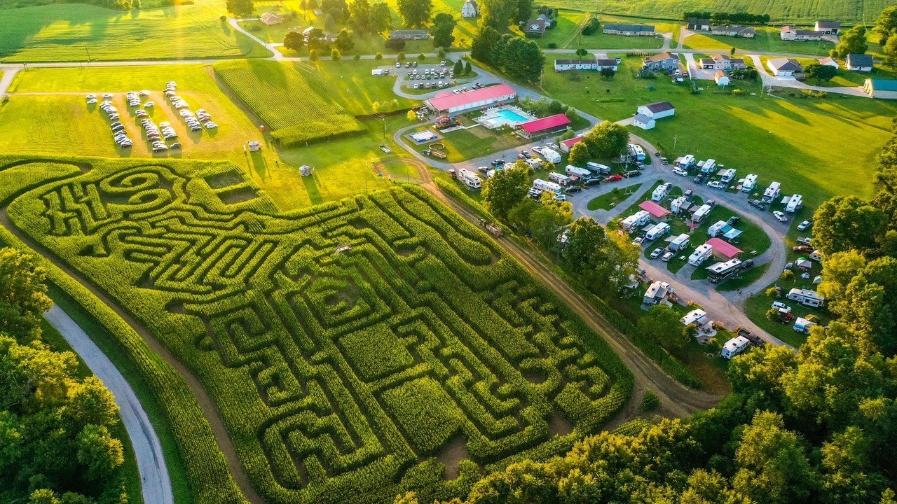 Dixon corn maze deals