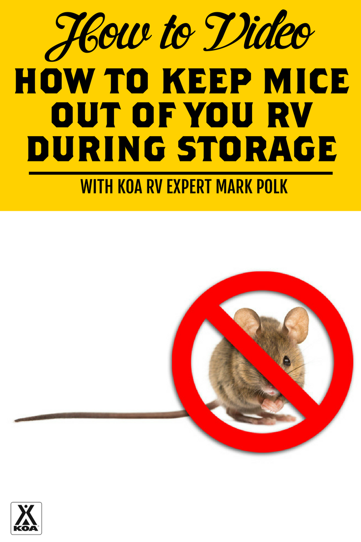 RV expert Mark Polk shares tips and tricks for keeping mice and other animals out of your stored RV in this video.