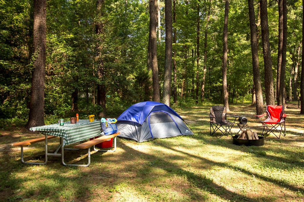 Richmond North / Kings Dominion KOA