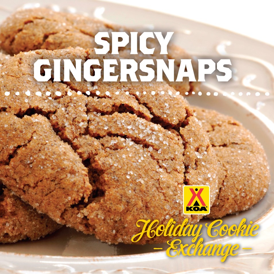 SPICY-GINGERSNAPS