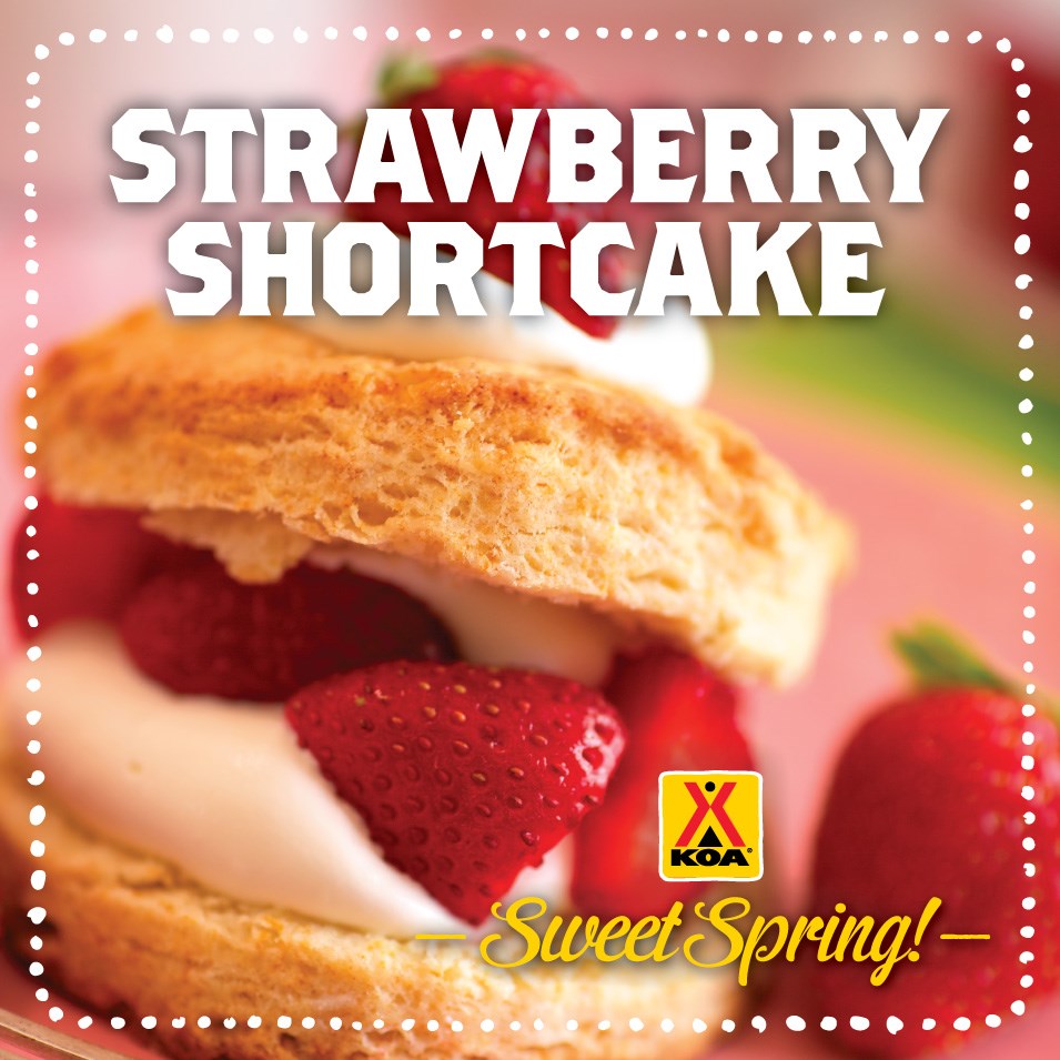 /blog/images/STRAWBERRYshortcake1.jpg?preset=blogThumbnailCrop