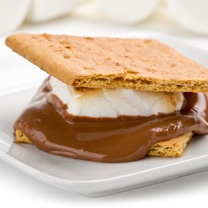 More S’mores Please! Image