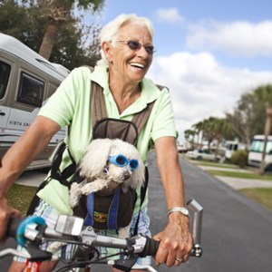 Travel Stories: The Search for the Perfect Snowbird Companion Image