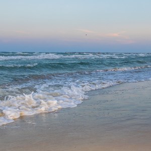 Plan Your Spring Trip to These Beachy Parks Image