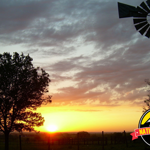 Dream Vacation: Texas Ten-Stop Image