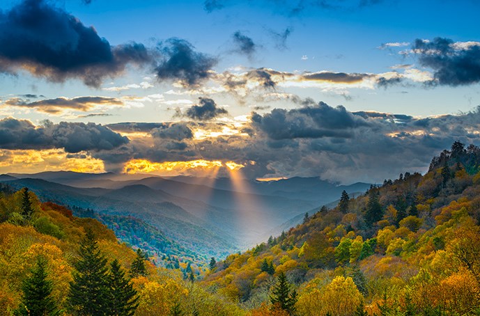 /blog/images/The-Ultimate-Food-Guide-to-Great-Smoky-Mountains-National-Park.jpg?preset=blogThumbnailCrop