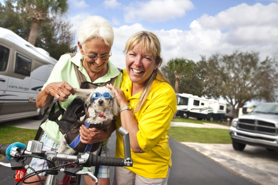 RVing tips for dog owners